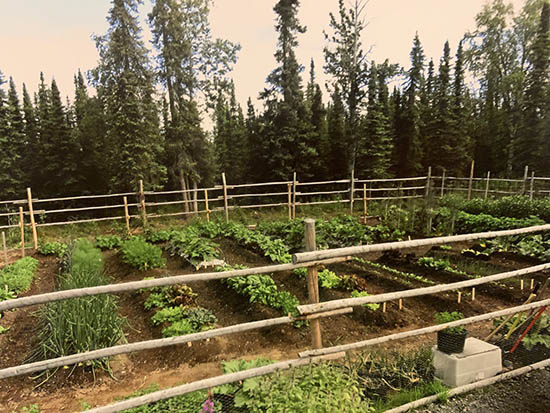 My Garden