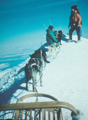 Two people and a sled dog crew atop a mountain